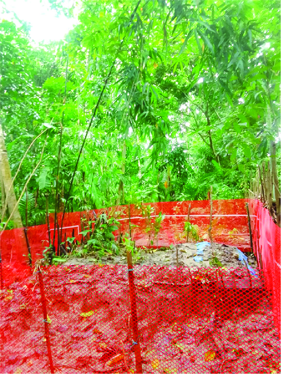 Image of  মো: ইসহাক জমদ্দার